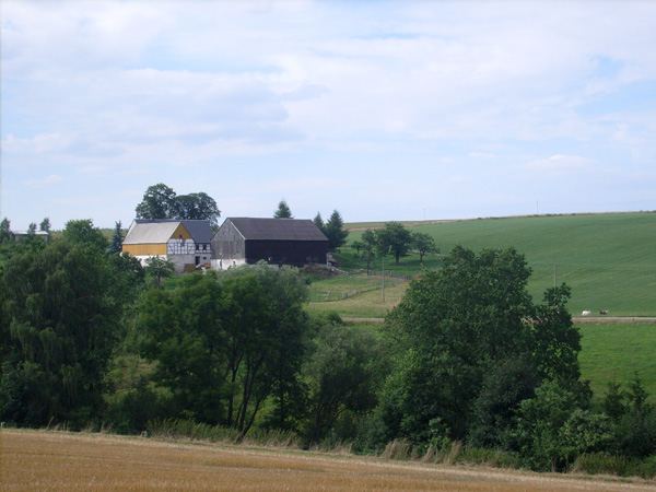 Zwergzebus vom Falkenhof